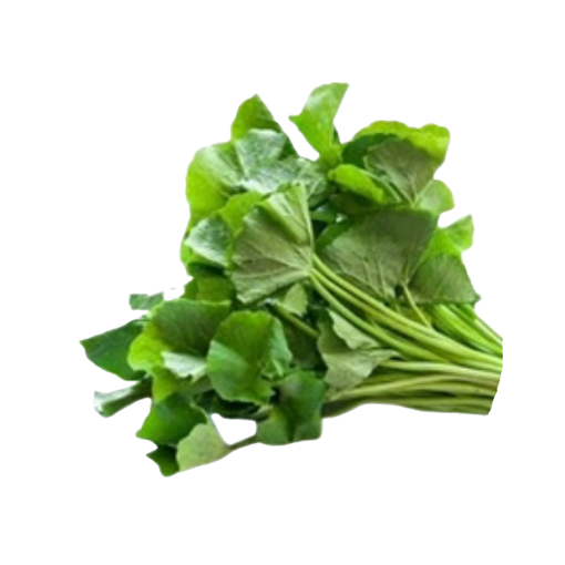 Asiatic pennywort บัวบก