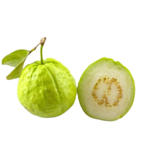 Guava ฝรั่ง