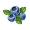 blueberry