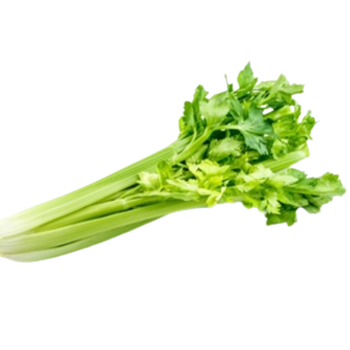 celery celery