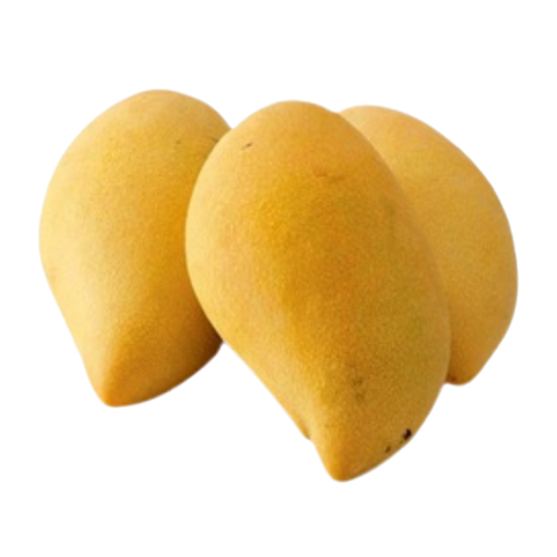 mango มะม่วงน้ำดอกไม้