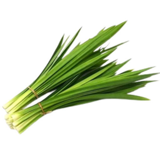 pandan ใบเตย