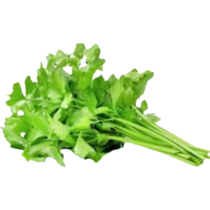 คื่นช่าย