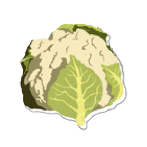 กะหล่ำดอก