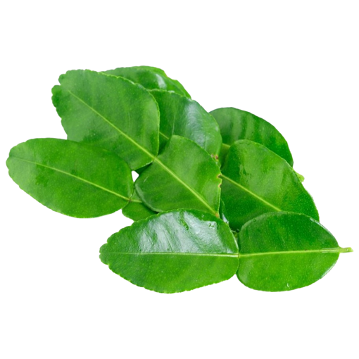 Kaffir Lime Leaves ใบมะกรูด