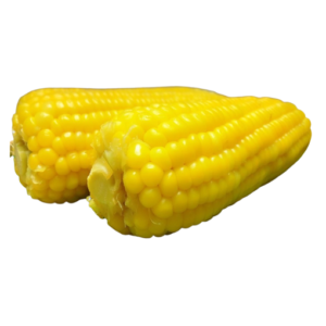 ข้าวโพด