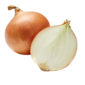 หอมใหญ่